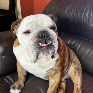 Meet your Posher, Mike